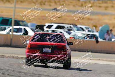media/Feb-22-2025-Team Topak Racing (Sat) [[cb57a51a40]]/86 Party Brigade/Turns 13 and 14/